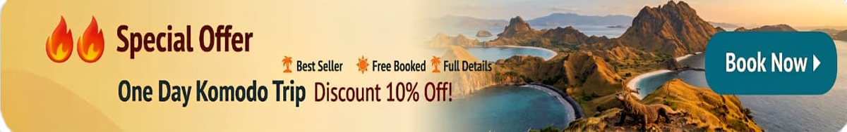 Discount One Day Trip