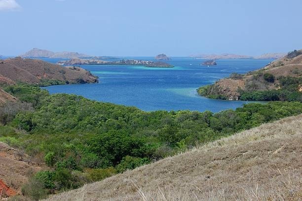 Labuan Bajo Tour