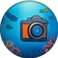 under water photo